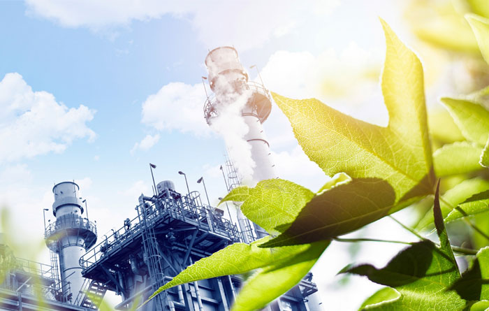 Trusted Green イメージ写真