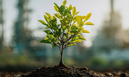 エネルギー管理システム